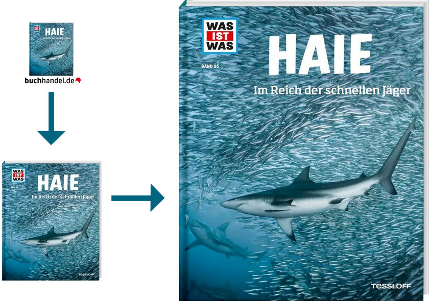 Coverbilder in drei Gr��en